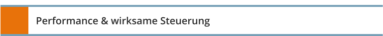 Performance & wirksame Steuerung